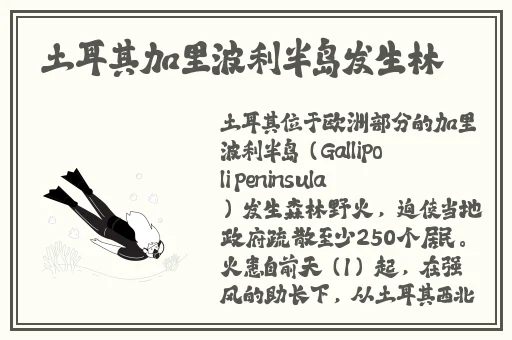 今日吃瓜24小时不打烊